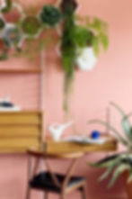 Modular Wall Planter Kit, Horticus Living