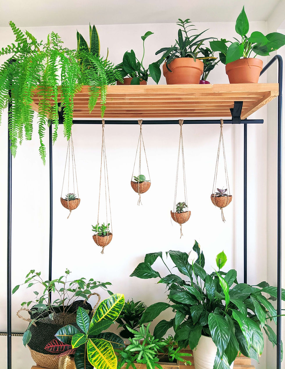 Incorporate plants into your home via open shelving.