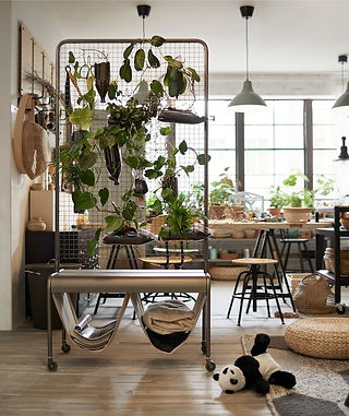 creative ways to use indoor plants as a room divider