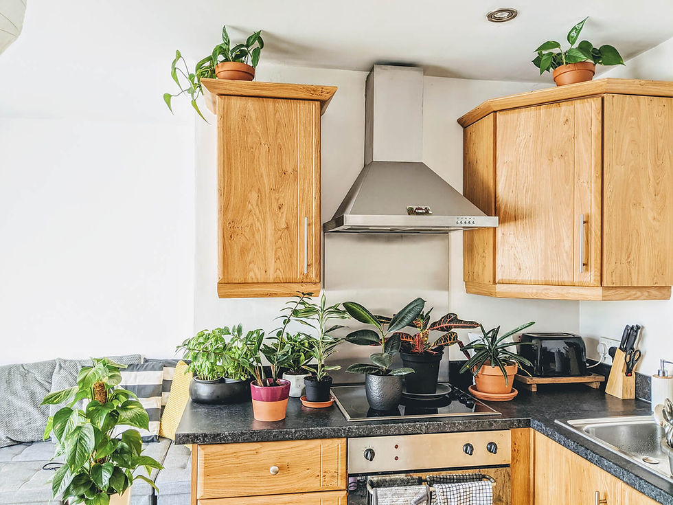 Wooden modern kitchen filled with indoor plants