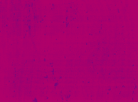 nudos_proyectos_1.gif