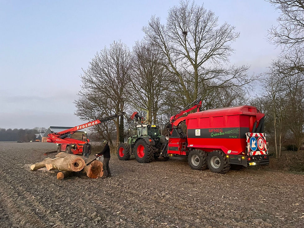 Bomen Kappen Lelystad.jpg
