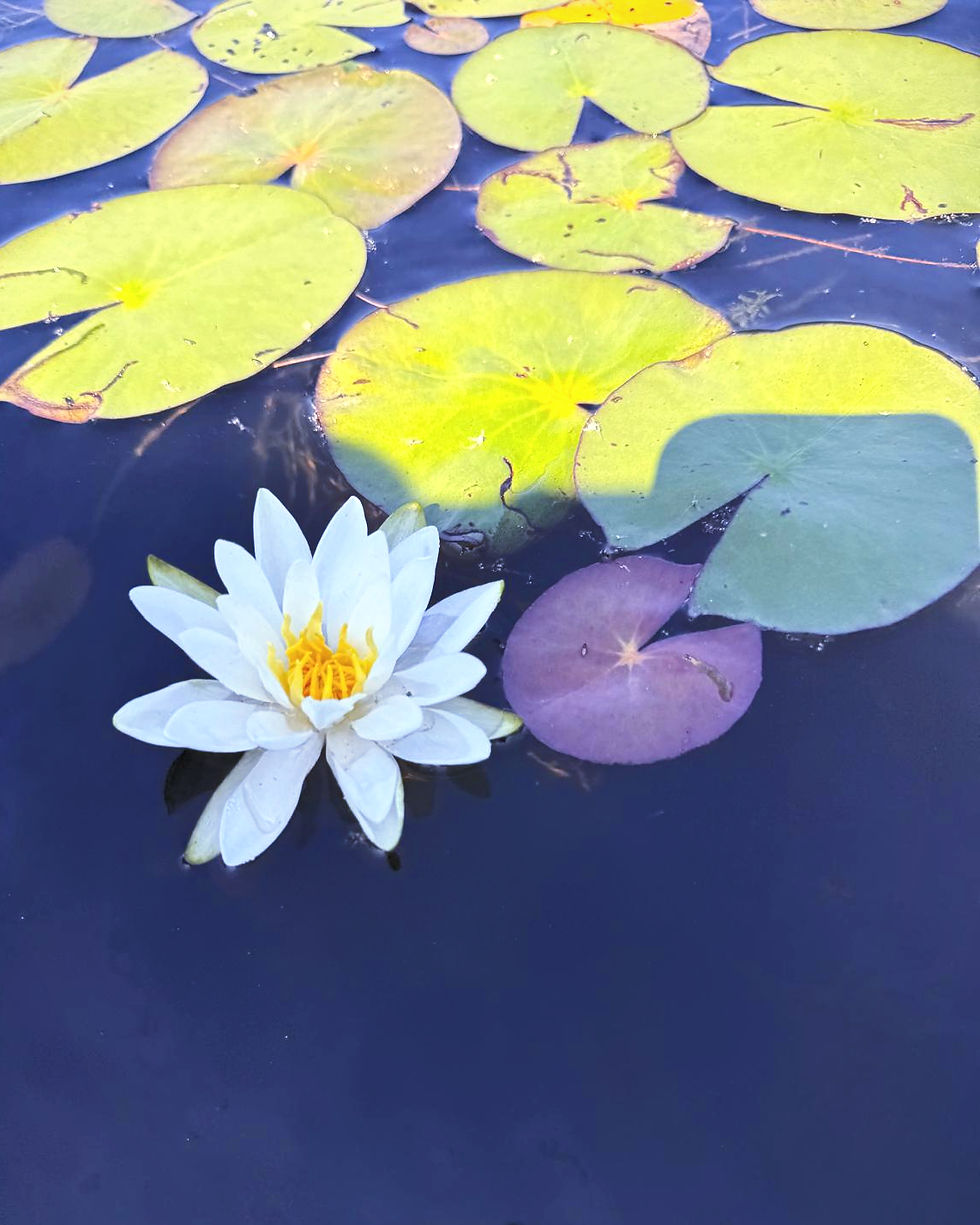 WhatsApp Image 2026-03-12 at 15.53_edited.jpg