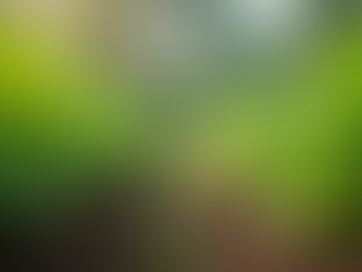 From Landlord to Transformative Community: How Faith & Perserverance Turned Real Estate Dreams Into REality!