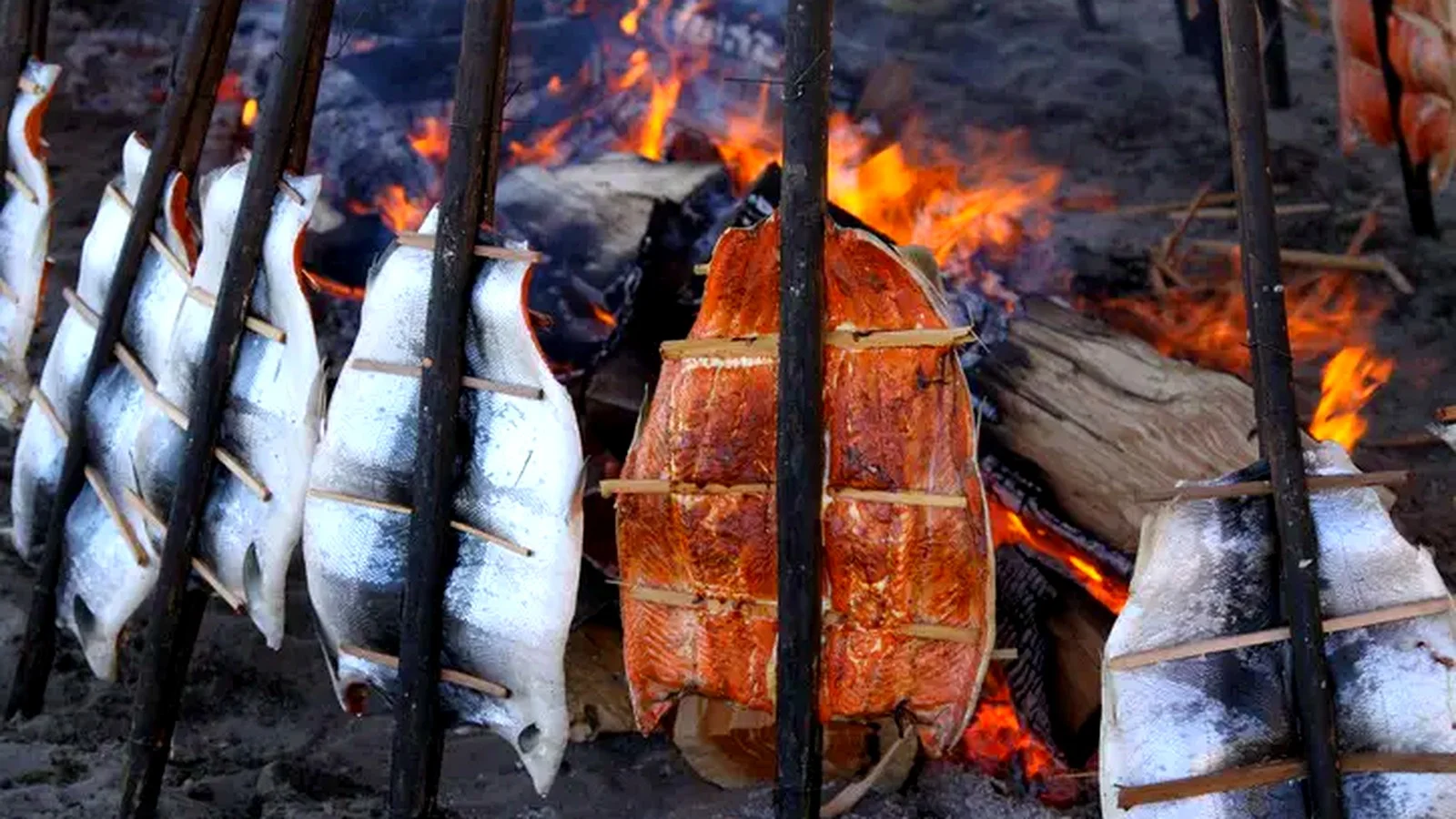 Fish - Kiowa word: pól (POHL)