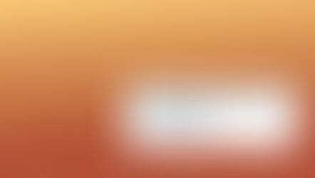 Seldia Annual Report 2011-2012