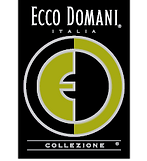 ECCO DOMANI.png
