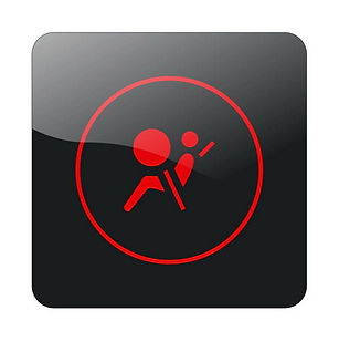 Ремонт подушек безопасности, ремонт блоков SRS Airbag, ремонт ЭБУ, Ремонт SRS, Ремонт Airbag