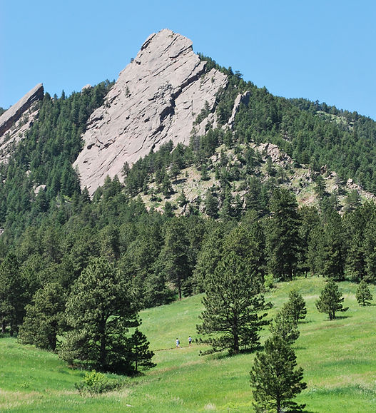 DSC_0333.JPG