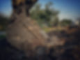 a close up of a bucket of dirt