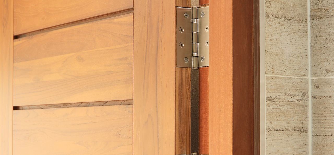 DOOR HINGES