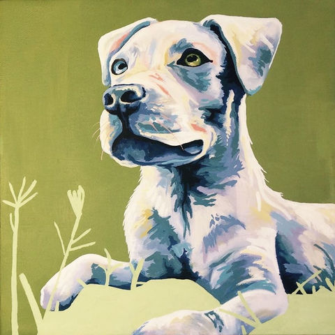 PET PORTRAITS