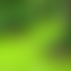 Green is the new American flag blue
