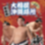 平成28年度冬巡業 大相撲沖縄場所_edited.png