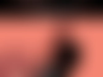 چوببدستهای ورزیل