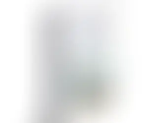 پاندای بزرگ و اژدهای کوچک