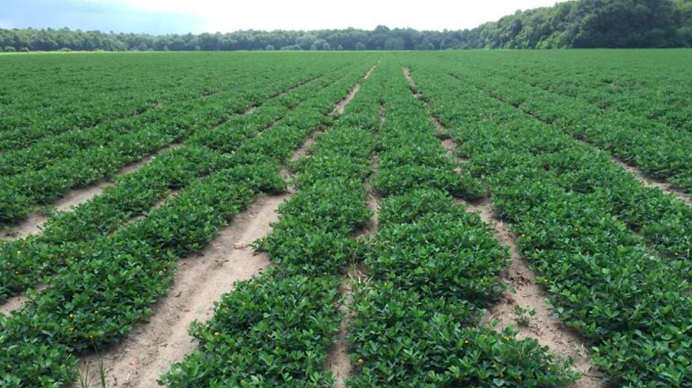 Screen Shot 2025-07-15 at 11.11.52 AM.png