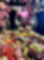 IMG_7739.jpeg