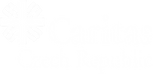 caritas_logo-PNG-2_edited.png