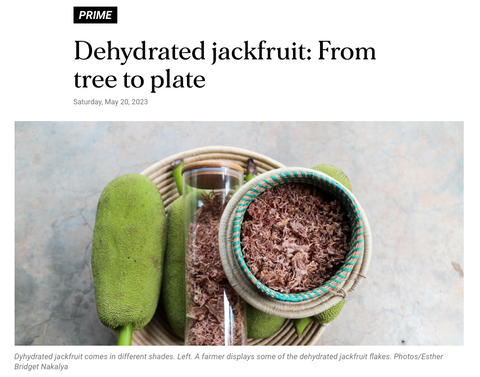 Screenshot 2023-08-08 at 13.58.36.png