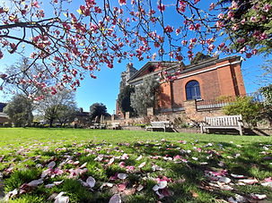 20230403_151834 Meml Garden magnolia.jpg