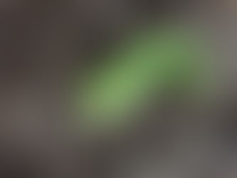 Friday 27th November - Icon of the Day