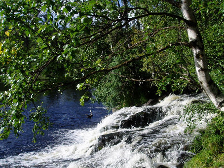 Tuesday 9th June – Icon of the Day