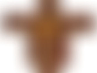 Wednesday 4th November - Icon of the Day