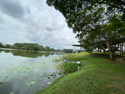 The Ultimate Recreational Park