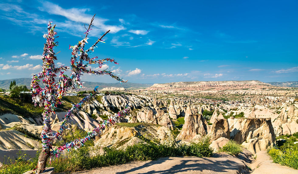 Pigeon Valley Wish Tree Cappadocia.jpg