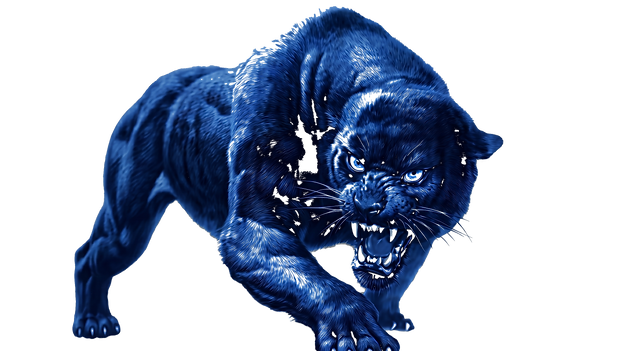 Melanistic Black-Blue Panther.