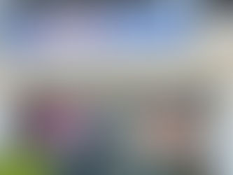 ¿Por qué invertir en EnvíoShop?