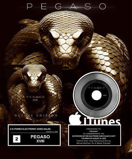 pegaso-custom-20x24-itunes-xviii.jpg