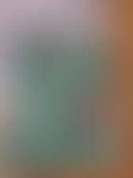 Gamla matchtröjor bortskänkes