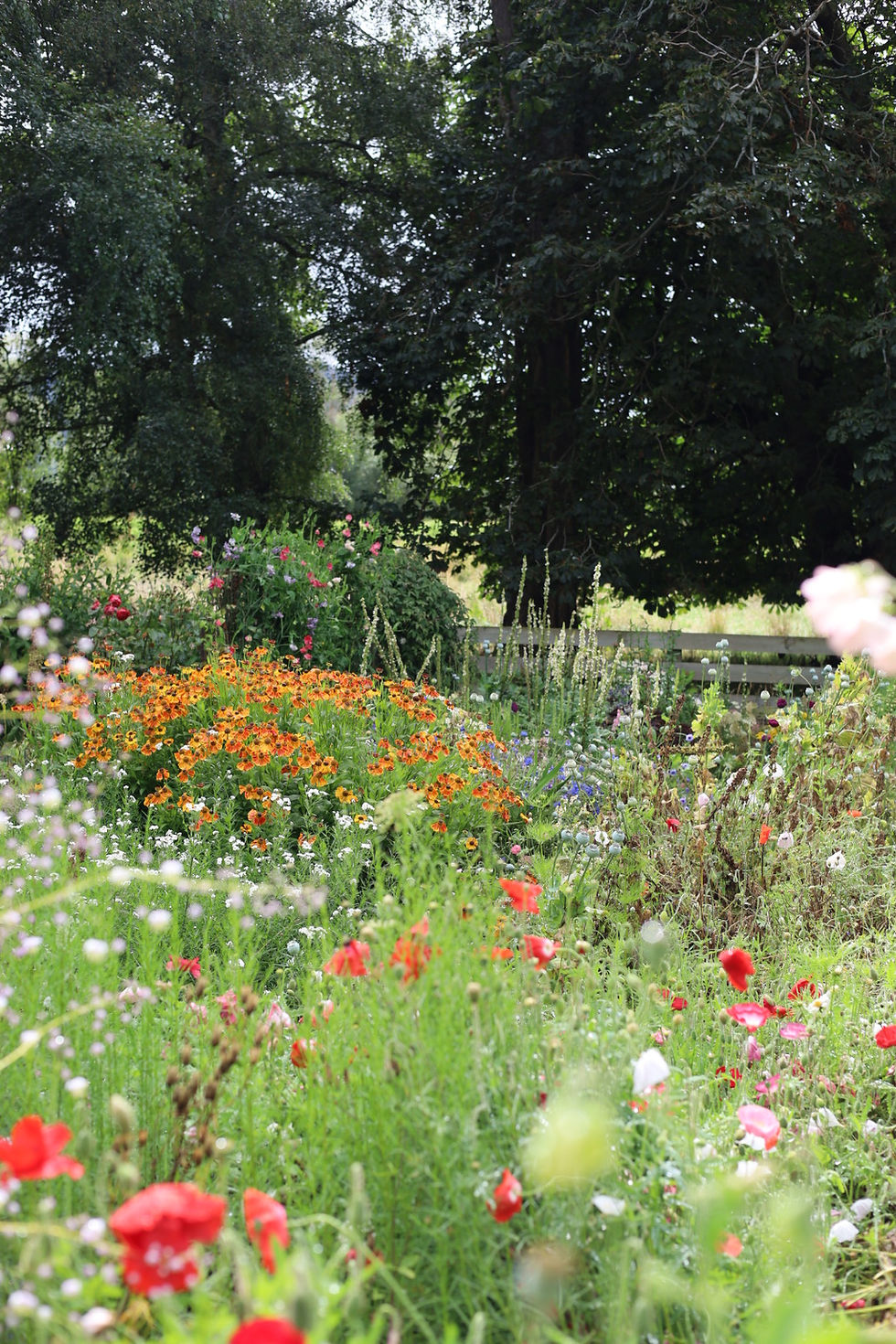 Thumbnail: Sunday Flower Arranging - 1st February 2pm - 4pm