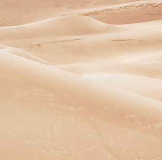 SAND