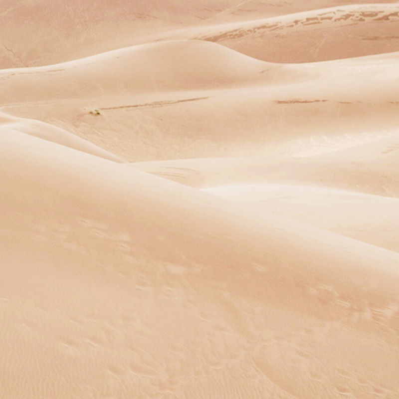 Sand Dune Landscape