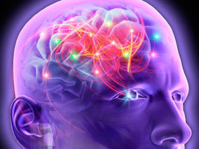 CBD effects on Concentration and Focusing