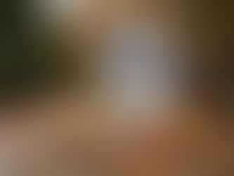 Prepare your yard for fall