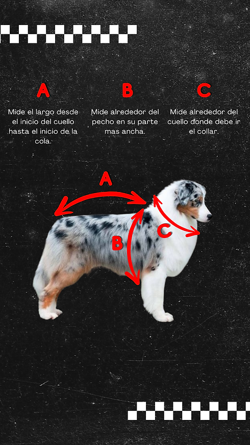 Size DOG pagina.png
