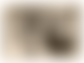 คำให้การเด็กหัวตลาด ตอนที่ ๗๐ เรื่องนักมวยในสังกัดของย่า ตอนที่ ๑