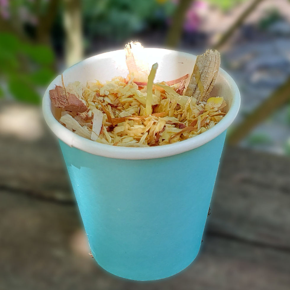 Beeswax & Cedar Firestarter