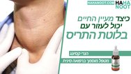 כיצד מעיין החיים יכול לעזור עם בלוטת התריס | הנרי קסיונג (מטפל מוסמך ברפואה סינית)