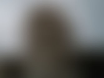 Are We Afraid of Black American History?