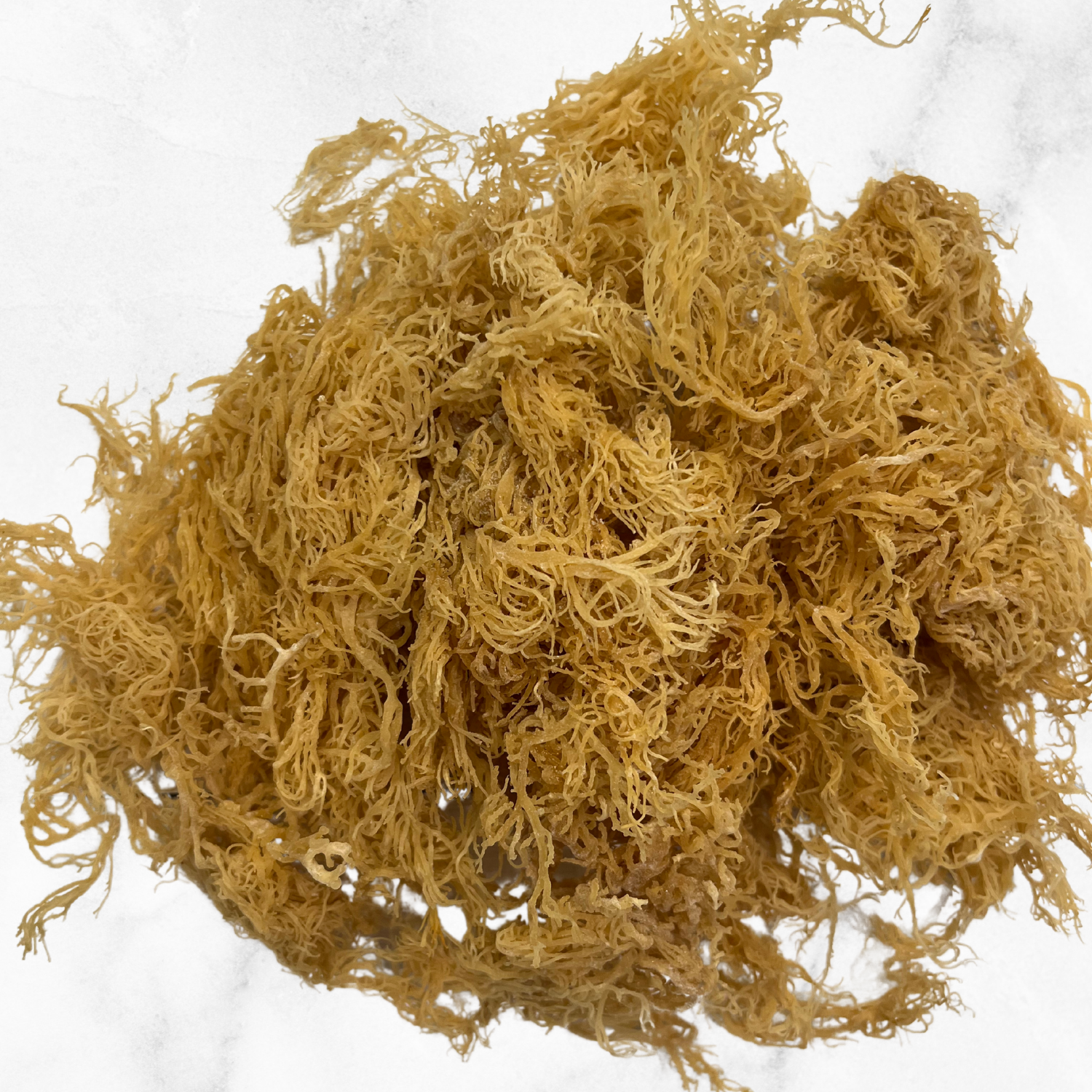 Gold Sea Moss
