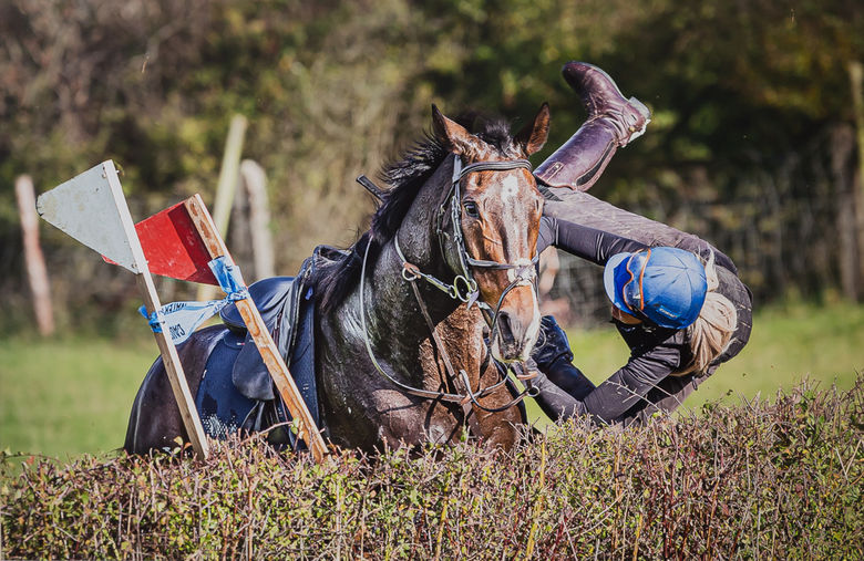 C Hedge Moment, Brian Stubbs,__ Wincanton.jpg