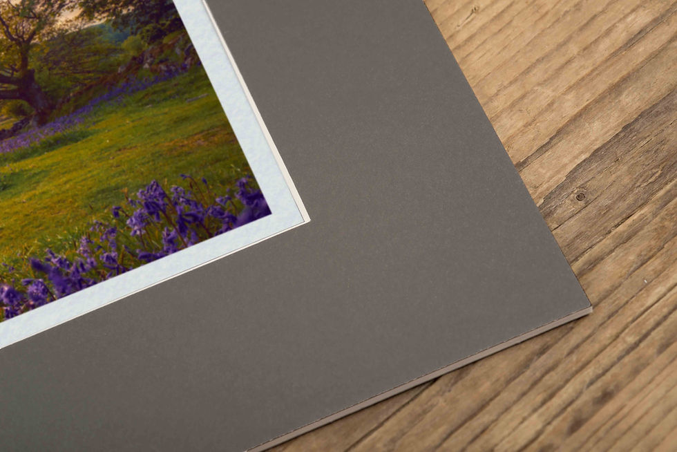 Miniatúra: Dartmoor | Landmarks | Emsworthy Mire | Framed 8x10" Mini-Print