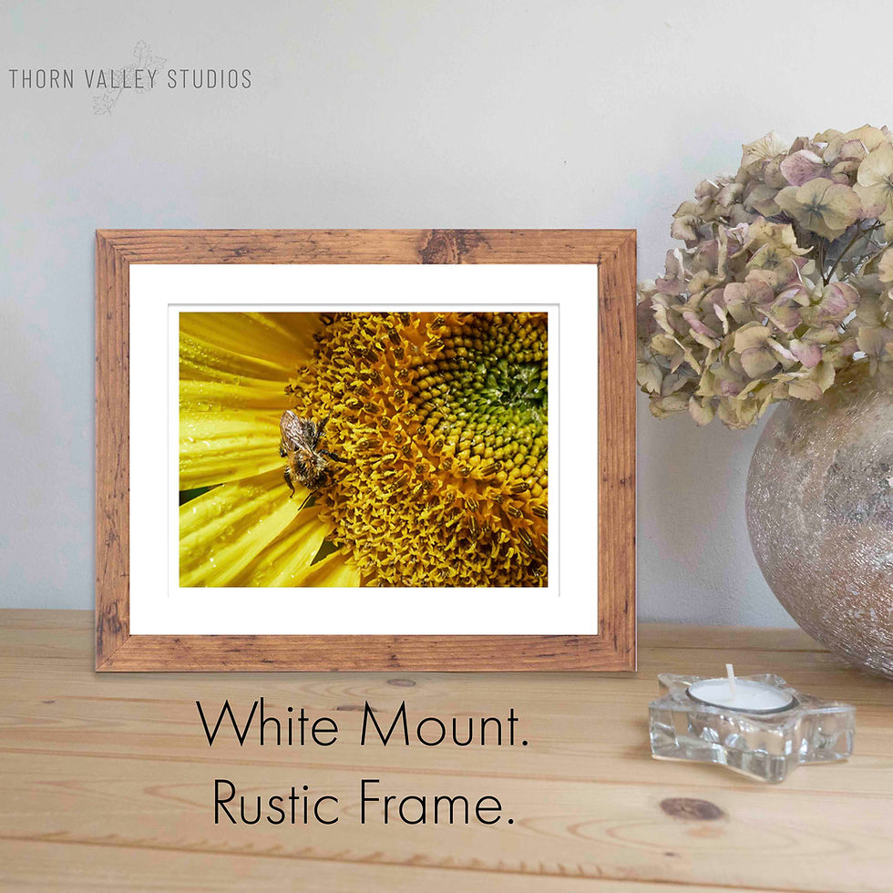 Miniatura: Natural World | Summer Rain | 8x10" Mini-Print