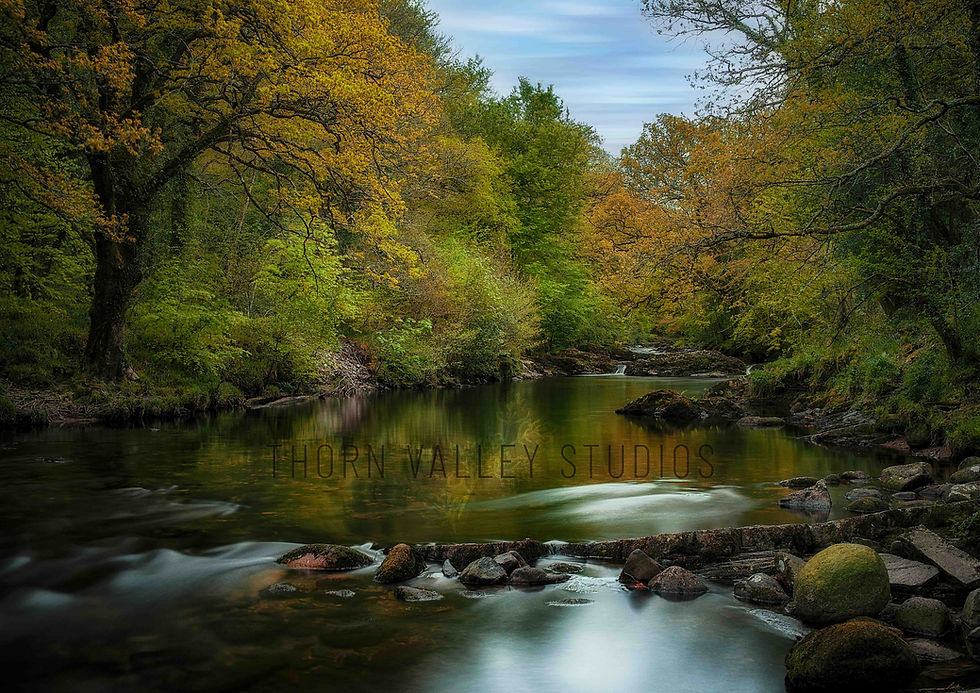 Dartmoor | Landmarks | River Dart | Framed 8x10" Mini-Print