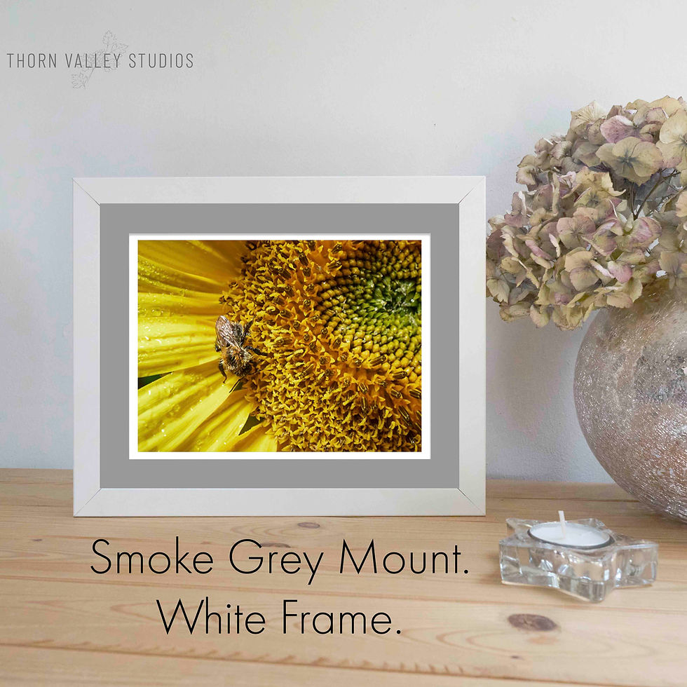 Miniatura: Natural World | Summer Rain | 8x10" Mini-Print
